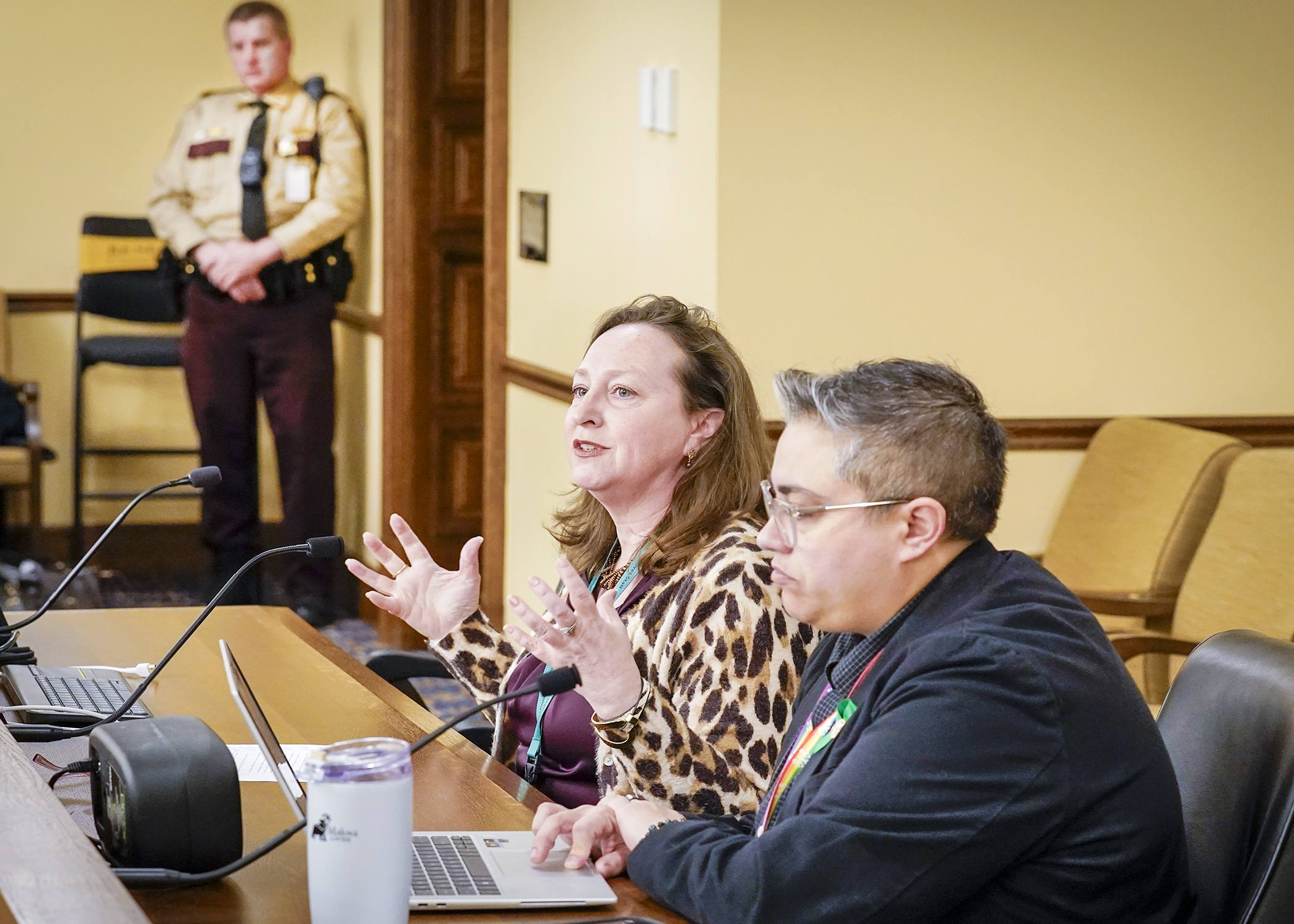 Rep. Kristin Bahner offers testimony to the House state government committee March 5 in support of a bill sponsored by Rep. Brion Curran, right, to prohibit permit to carry holders from possessing firearms in the Capitol Complex. (Photo by Andrew VonBank)